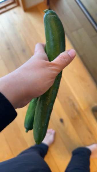 Buyer review video 2