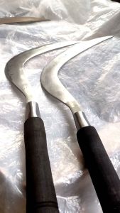 Peralatan kebun sabit rumput gajah UD MADURA