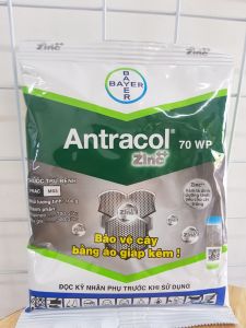 thuốc trừ bệnh ANTRACOL 70wp thuốc trừ bệnh thán thư sương mai đốm đen lở cổ rễ cháy bìa lá mốc xám rỉ sắt trên cây trồng