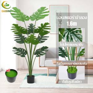 【พร้อมส่งจัดส่งใน 24 ชั่วโมง】 ต้นไม้ปลอม ต้นไม้ปลอมใหญ 120/160/180cm ฟรีกระถางดอก +หินตกแต่ง ต้นไม้แต่งบ้าน+การตกแต่งร้านกาแฟ สไตล์นอร์ดิก ในบ้าน ต้นไม้มงคล ต้นไม้ประดิษฐ์ ต้นไม้ตกแต่งบ้าน ต้นไม้ปลอมสวยๆ ต้นไม้แต่งห้อง ต้นไม้มงคลสวยๆ ต้นไม้มงคลปลอม