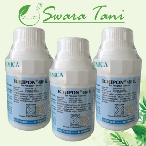 ICHIPON 480SL 100ml ZPT Etafon 480 g/l Zat Pengatur Tumbuh & Pematang Buah Agrochemica Orbyte Ethrel