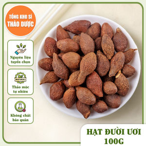 Hạt ươi 100g hạt đười ươi rừng tuyển chọn hạt nở bung hỗ trợ giảm ho tiêu đờm đau họng
