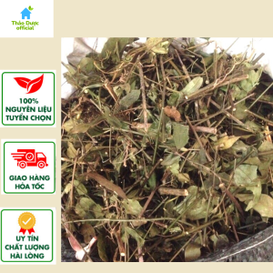Chè vằng thảo dược lành tính lợi sữa giành cho các chị em phụ nữ