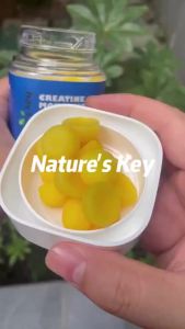 Natures Key Vegan Creatine Monohydrate Gummies 1500mg High Content Explosive Power Fast Recovery Certified Vegetarian Orange Flavor