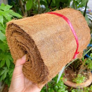 Thảm dừa sản phẩm hữu cơ 100% làm từ chỉ xơ dừa dùng giữ ẩm lót chậu ươm mầm trang trí...cuộn 5 mét x khổ 20cm.