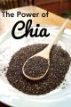 Biji Chia Seed Untuk Diet Organik 100gr Original. 