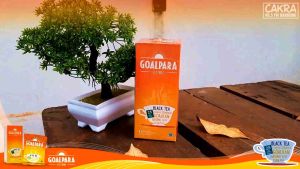 TEH BUBUK GOALPARA 250 GRAM