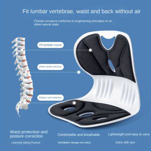 Ergonomic Office Chair with Adjustable Lumbar Support Pad – Posture Corrector for Improved Alignment Breathable Design Fits Natural Waist & Back Contours Gray/Black Lightweight & Portable