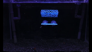 Betta cá NƠI ẨN NÁU đường hầm môi trường tự nhiên Betta nghỉ ngơi ống hầm với núm hút cao su để nghỉ ngơi và ẩn náu