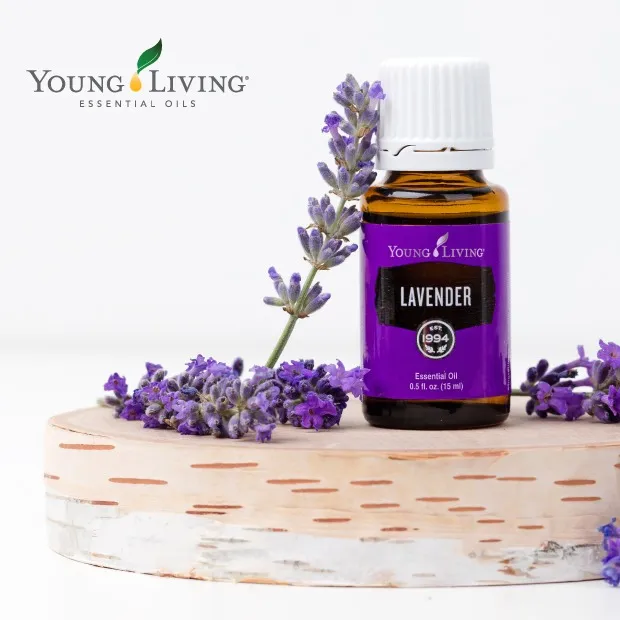 Original Young Living LAVENDER Pure Essential Oil Blend 15ml