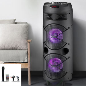 portable party wireless speaker Dig Portable Bluetooth Karaoke Speaker with Wireless 2 MIC and AUX USB/ SD Card FM Radio Wireless Bluetooth Speaker 3D