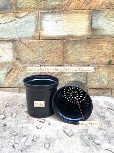 Chậu Nhựa Cứng 16X18 (Cm) có lõi trụ và chậu 17x17 (cm) không có lõi tru .