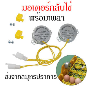 มอเตอร์ฟักไข่ 220V มอเตอร์ส่าย มอเตอร์แนวตั้ง อุปกรณ์เสริมตู้ฟักไข่