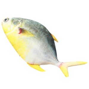 YIDIA PP Cotton Simulation Sea Fish Plush Toys Stuffed Soft Sea Fish Stuffed Doll Fish Stuffed Doll Grouper Fish Sleeping Pillow Dolls Living Room