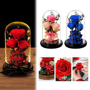 Seangel Red Roses for Valentines Day Gifts Wedding with Led Decorative Home Decor Christmas New Years Gift with Lamp String Eternal Flower Rose节日礼物红玫瑰