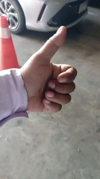 Buyer review video 2