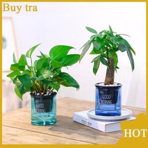 [Buytra] Transparent Flower Pot Self-Watering Plant Flower Pot Home Garden Decoration