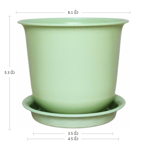 กระถาง กระถางต้นไม้ มินิมอล ถ้วยจีน+จาน ขนาด 6 นิ้ว สีเขียวพาสเทล 10 ใบ ชิ้น อัน