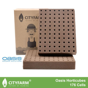 Oasis Grower Solutions Horticubes (176 Cells) Rockwool Alternative For Hydroponics Seed Germination