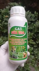 Phân bón GA3 Sữa hữu cơ 500ml - Giúp tăng trưởng cực nhanh Bật chồi Vọt đọt mạnh Trổ nhanh Dưỡng bông.