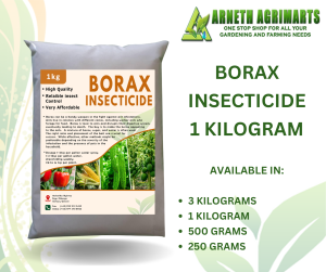 ARNETH BORAX NATURAL INSECTICIDE ANT COCKROACH & PEST POWDER CONTROL