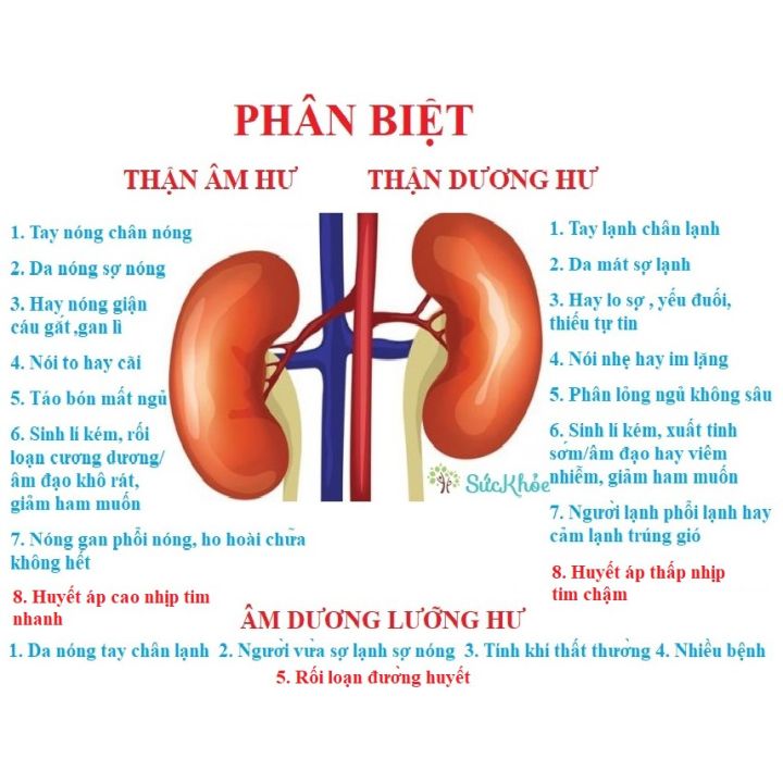 Ph%C3%A1%20H%C6%B0%C6%A1ng%20%C4%90an%20-%20B%E1%BB%95%20th%E1%BA%ADn%20d%C6%B0%C6%A1ng.%20Th%E1%BA%ADn%20S%E1%BB%8Fi.SET%2012%20g%C3%B3i%20nh%E1%BB%8F.%2012%20l%E1%BA%A7n%20u%E1%BB%91ng%20-%20Image%202