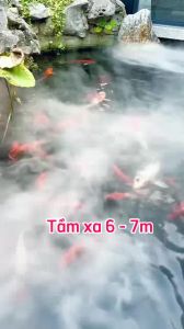 Máy tạo khói hồ cá Loại Lớn 10 đầu 36V cao cấp có phao nổi
