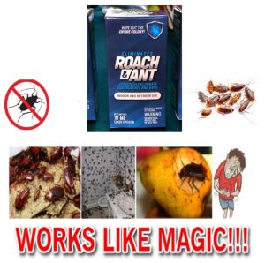 100% Original Roach&Ant Umpan Ubat Semut & Lipas. Cockroach & Ant bait. Menghapuskan lipas semut & kerengga