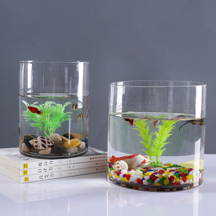 Glass aquarium in goldfish bowl Small creative ecological circular