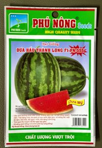 Hạt giống dưa hấu F1 tỷ lệ nẩy mầm cao/ hạt giống Phú Nông