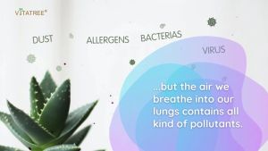 Viên uống bổ phổi Vitatree Lung Detox 60 viên giúp cải thiện chức năng phổi và tăng cường miễn dịch - Giúp cải thiện chức năng hô hấp hỗ trợ phổi hoạt động khỏe mạnh. Hỗ trợ giảm ho giảm đờm làm dịu đường hô hấp.