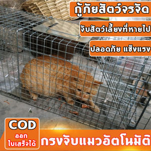 CatTrap กรงดักแมว (ไซส์ XL) พับได้ จับแมวจรจัด จับแมว ดักจับแมว ดักจับแมวจร ปลอดภัยต่อคนและสัตว์ ใช้งานจับได้จริง แข็งแรง ทนทาน ทนแรง กรงแมว