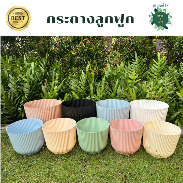 กระถางลูกฟูก ขนาด 12 นิ้ว สีพาสเทล มินิมอล