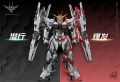 Iron Toys Star Eternal Xingheng 1/100 Scale Model Kit. 