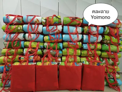เสื่อฟรอยด์ ขนาด 5 ฟุต (แถมกระเป๋าฟรี)เสื่อรองนั่ง เสื่อปิ๊กนิค เสื่อเอนกประสงค์ เสื่อรองนอน