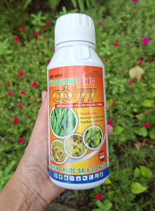 [TRUNG THIEN THINH] TVATOZONE 35EC CỎ 77 (1 Chai 450ML) – Trừ Cỏ Lúa Diệt Lúa Lộn Lúa Ma Lúa 2 Tầng