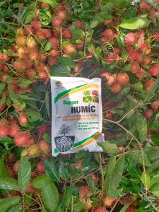 Phân bón supper Humic kích rễ cao cấp dạng miểng ( túi 1kg)