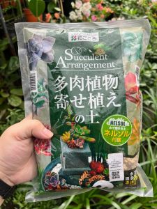 (SG Seller) Succulent Arrangement Soil With Nelsol 1.5L (Hanagokoro Japan)