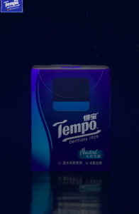Tempo Kertas sapu tangan /pocket Tissues Family4ply*12p 得宝家族手帕纸
