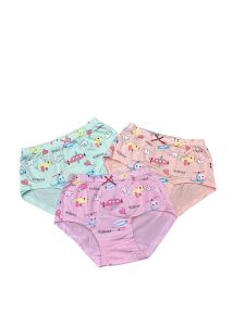 KID GIRL CARTOON PANTIES UNDERWEAR COTTON 1 SET 3X PCS/HELAI/SELUAR DALAM ANAK/SELUAR DALAM KANAK-KANAK GOOD QUALITY READY STOCK