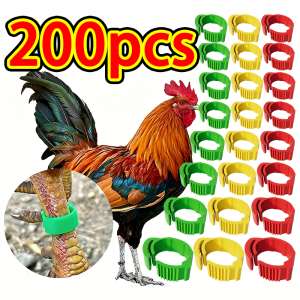 200pcs Adjustable Poultry Leg Band Ring for Chicken Duck Goose—Durable Plastic with Number and Colo