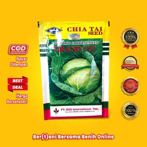BENIH KUBIS - GRAND 11 - 15 Gram - Cap kapal terbang - green nova polaris summer autumn gutji