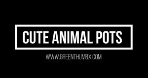 Cute Animal Pot Collection with Succulents