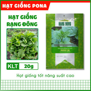 Hạt giống Mồng tơi lá to RADO 38 (20g) - Hạt giống Rạng Đông