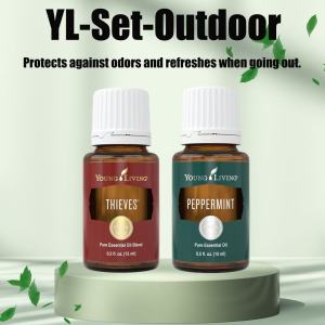 Young Living Essential Oil Set Lavender Lemon Peppermint Frankincense Eucalyptus Thieves RC Minyak Pati Asli