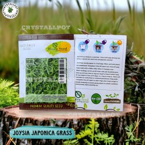 Benih Bibit Rumput Jepang Joysia Japonica Haira Seed - JOYSIA JAPONICA GRASS