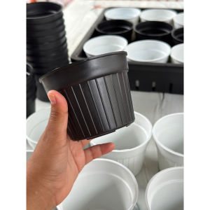 กระถางลูกฟูก 4 นิ้ว กระถาง4นิ้ว กระถางลูกฟูก กระถางลอน