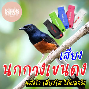 เสียงต่อนกกางเขนดง เมมเสียงนกกางเขนดง แฟลชไดร์ฟเสียงต่อนกกางเขนดง เสียงนกกางเขนดง