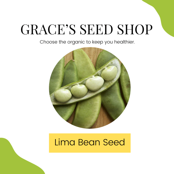 Lima Beans Seeds/ Patani Beans Vegetables Plants Herbs Supplies Lazada PH