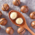 Macadamia Nuts 500g/250g creamy summer Nut snack. 